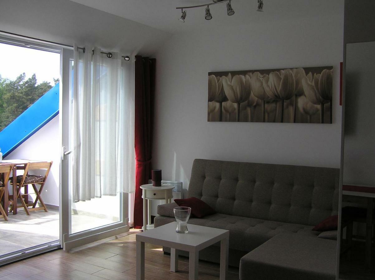 Borowka W Blue Mare Apartment Łukęcin Bagian luar foto