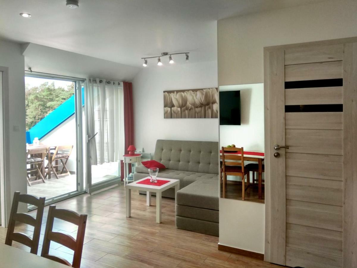 Borowka W Blue Mare Apartment Łukęcin Bagian luar foto